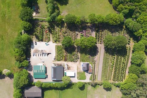 Baumschule in Bildern – Zimmern Garten- und Landschaftsbau GmbH